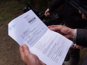 Chovatelka lvů z jihu Čech opětovně nedostala povolení k jejich chovu