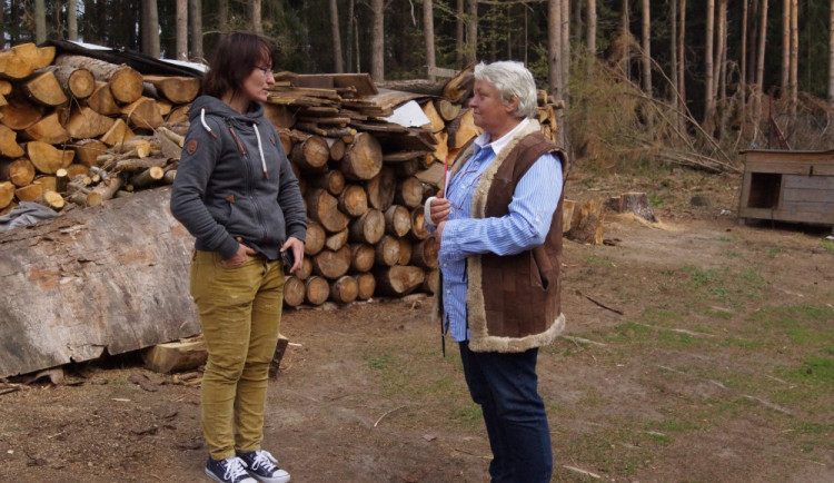 Chovatelka lvů z jihu Čech opětovně nedostala povolení k jejich chovu