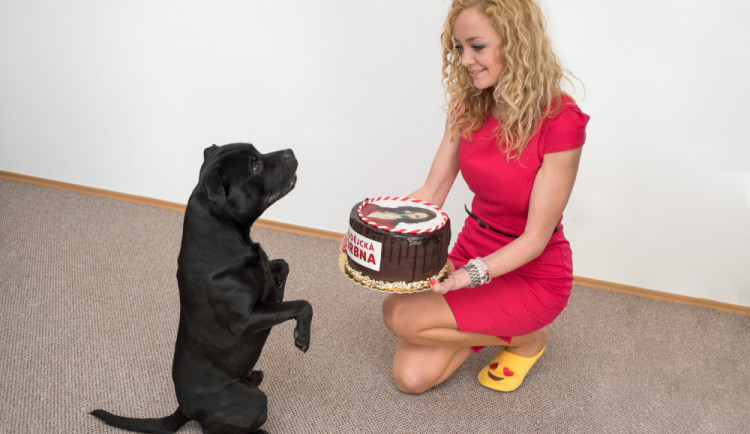 Zase o rok starší! Slavím osm let a cítím se skvěle. I díky vám