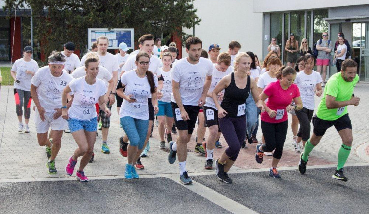 Nadační běh pro pejsky letos pomůže domácímu útulku