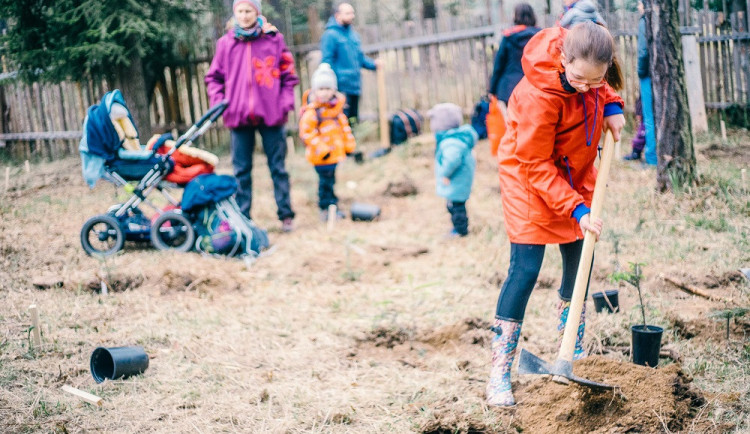 Brňané vysadili přes stovku jedliček, které koupili místo vánočních stromků