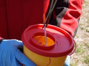 Strážníci se zapojili do akce Jehla. Po Budějcích hledali použité injekční stříkačky