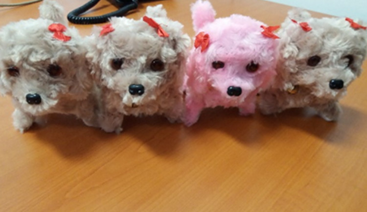 FOTO: V Česku se objevily plyšové hračky, které jsou pro děti nebezpečné