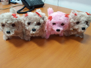 Tito pejsci jsou podle ČOI pro malé děti nebezpeční