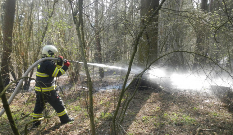 Přibývá požárů v přírodním prostředí, duben je extrémní