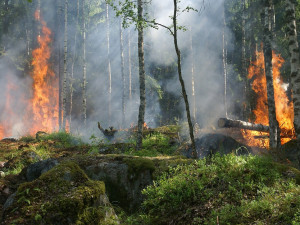 V platnosti zůstává výstraha před požáry. Ochladí se až příští víkend