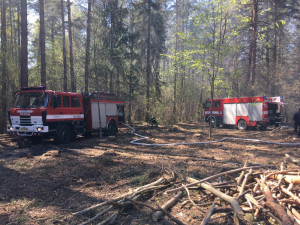Hasiči likvidovali devět požárů lesa za jediný den.