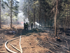 Hasiči včera zasahovali u devíti požárů lesa. Jde o extrémní číslo, říkají
