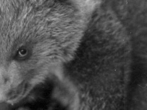 Hlubocká zoo slaví výročí. Její zakladatel přicestuje z minulosti