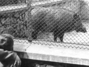 Hlubocká zoo slaví výročí. Její zakladatel přicestuje z minulosti