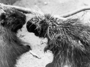 Hlubocká zoo slaví výročí. Její zakladatel přicestuje z minulosti
