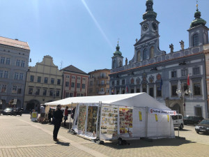 Z budějckého náměstí se stala knihovna. Začal festival Literatura žije