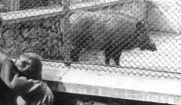 Hlubocká zoo slaví výročí. Její zakladatel přicestuje z minulosti