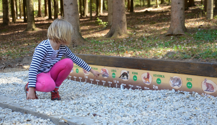 FOTO: V Krumlově vznikla unikátní naučná stezka, nabízí pětatřicet hravých interaktivních prvků o přírodě