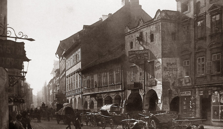 Krajinska hneda