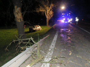 Sedmatřicetiletý muž nepřežil nehodu u Skočic