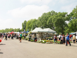 Jarní výstava Hobby se poprvé představí společně se stavebním veletrhem