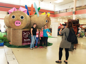 Jarní výstava Hobby se poprvé představí společně se stavebním veletrhem