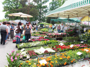 Jarní výstava Hobby se poprvé představí společně se stavebním veletrhem