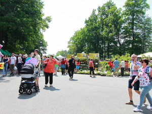 Jarní výstava Hobby se poprvé představí společně se stavebním veletrhem