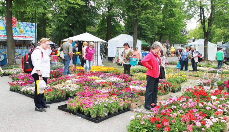 Jarní výstava Hobby se poprvé představí společně se stavebním veletrhem