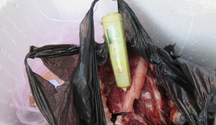Veterináři zabavili na Strakonicku neoznačené vepřové maso v nevyhovujících podmínkách