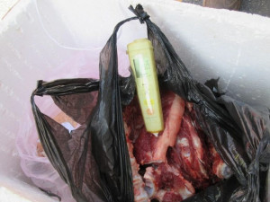 Veterináři zabavili na Strakonicku neoznačené vepřové maso v nevyhovujících podmínkách