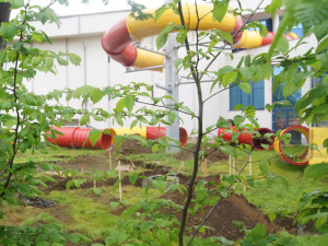 Za plovárnu bez tobogánu může pochybení projektanta