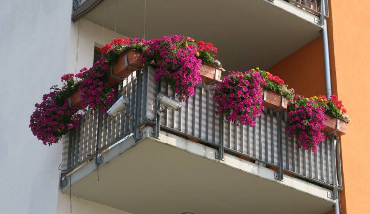 Fotka z minulého ročníku