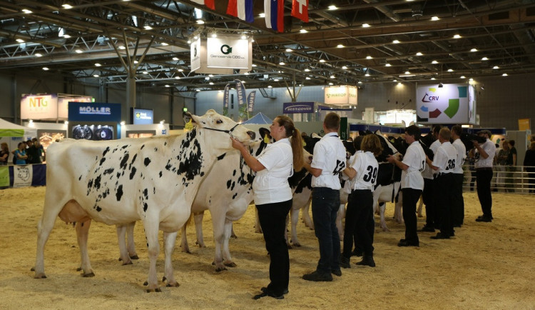 Na výstavišti dnes začal Animal Tech. Proti veletrhu protestovali ochránci zvířat