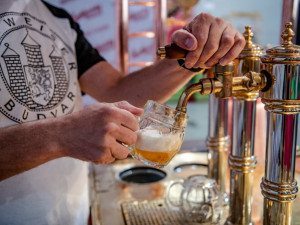 Na Linec se valí jihočeská zážitková vlna