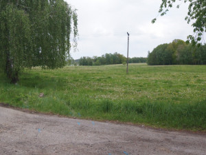 U obce Žár se stala tragická dopravní nehoda, řidič po nárazu do stromu zemřel