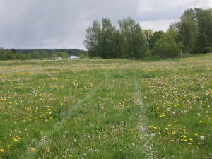 U obce Žár se stala tragická dopravní nehoda, řidič po nárazu do stromu zemřel