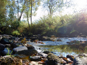 V Horním Rakousku se otevírá zemská zahradní výstava Bio.Garten.Eden Aigen-Schlägl