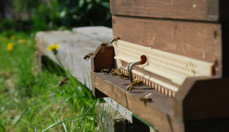 V Horním Rakousku se otevírá zemská zahradní výstava Bio.Garten.Eden Aigen-Schlägl