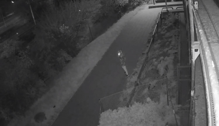 VIDEO: Neznámý útočník se v Líšni pokusil znásilnit mladou ženu. Muž na záběrech by mohl být důležitým svědkem