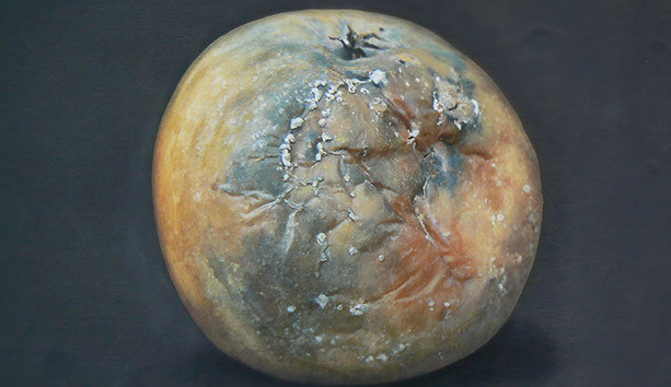 Ilustrační fotografie