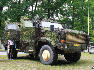 Dětský den můžete strávit na výstavišti s vojáky a Bambifestem