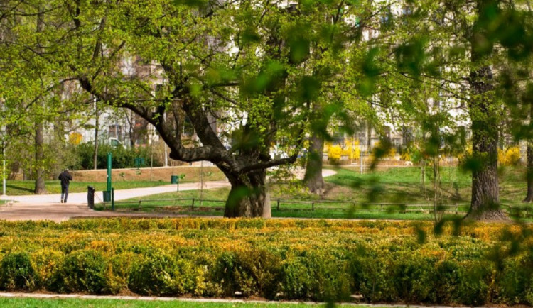Strážníci s nadcházejícím teplem zvýší kontroly lužáneckého parku