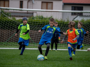 Pro Ovečku se vybralo přes sto tisíc, vydražil se dres Ronalda