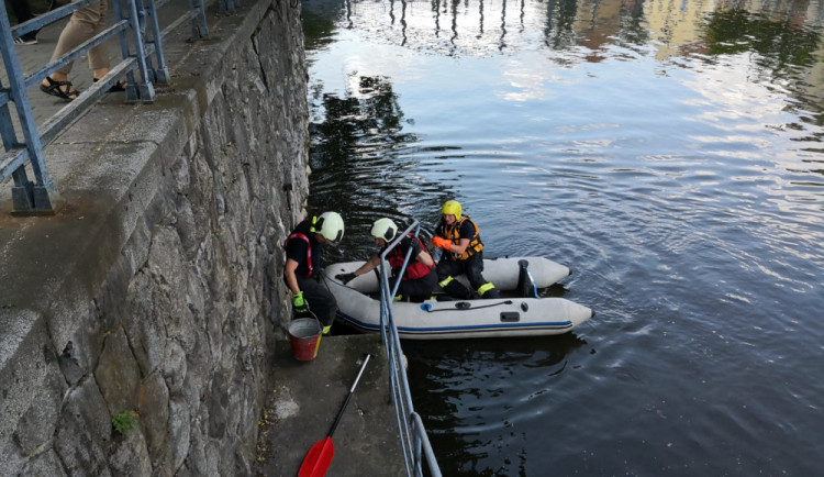 V Malši se topil ježek, zasahovat museli hasiči