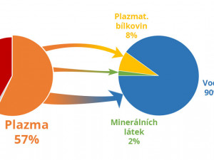 Darujte krevní plazmu, zachráníte životy