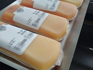 Darujte krevní plazmu, zachráníte životy