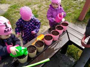 Budějcká Královská školka s vlastní solnou jeskyní oslavila v květnu své první narozeniny
