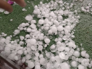 Foto od čtenářů Budějcké Drbny