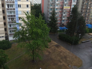 Foto od čtenářů Budějcké Drbny