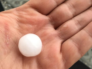 Foto od čtenářů Budějcké Drbny