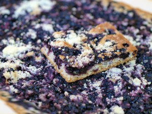 Klášter v Borovanech v polovině července opět ožije Borůvkobraním