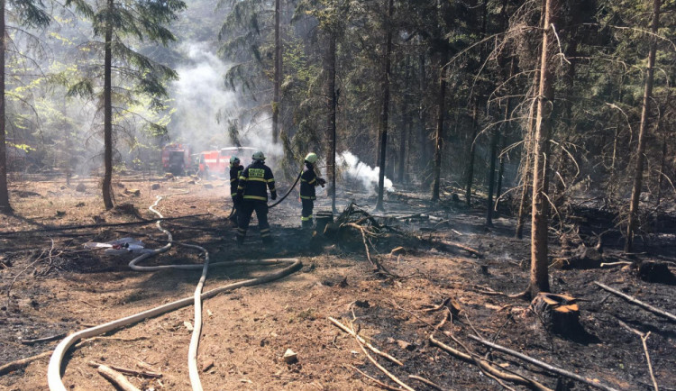 V platnosti je výstraha před výskytem požárů