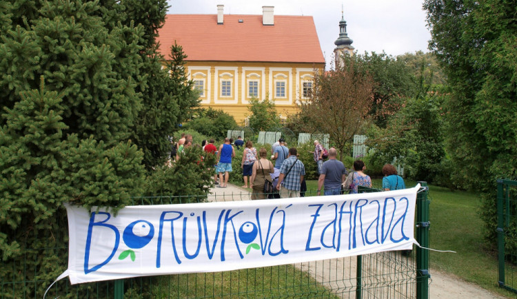 Borůvkobraní poprvé nabídne kavárnu s nevidomou obsluhou